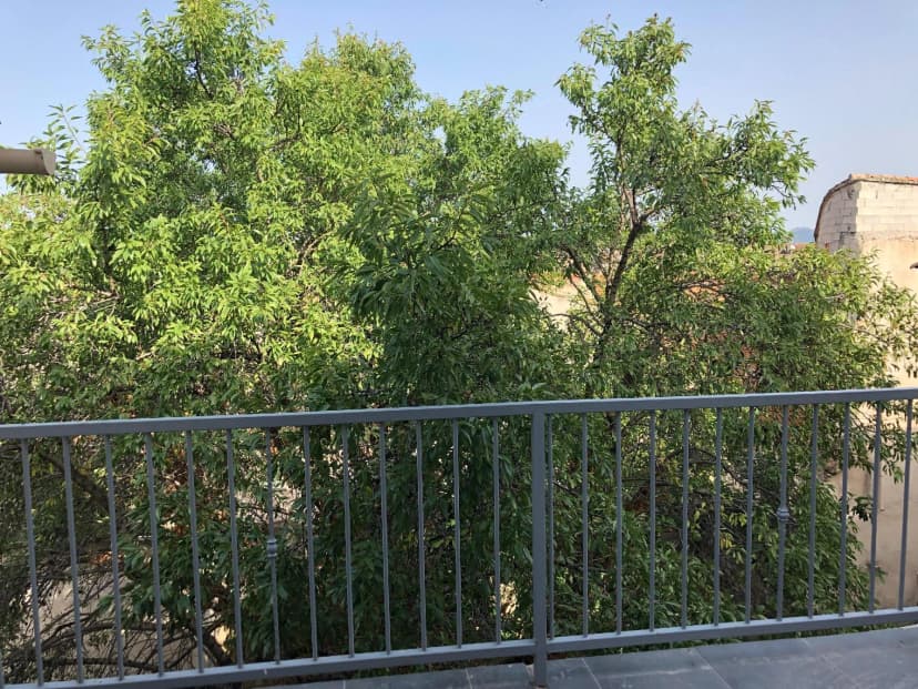 725212 photo